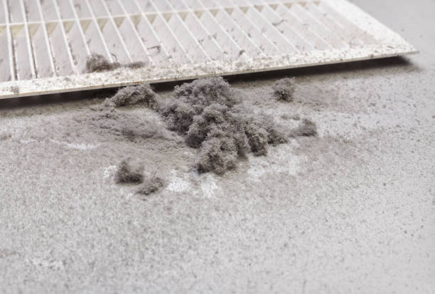 Best HVAC Air Duct Cleaning  in Johnsburg, IL
