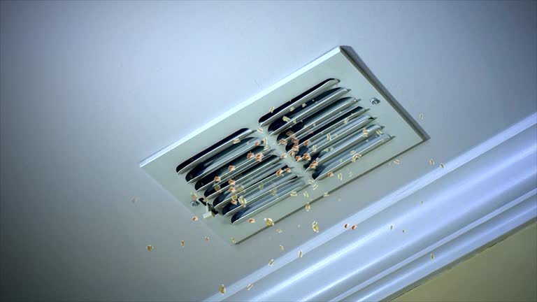 Best Affordable HVAC Duct Cleaning  in Johnsburg, IL