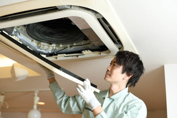 Best HVAC System Cleaning  in Johnsburg, IL